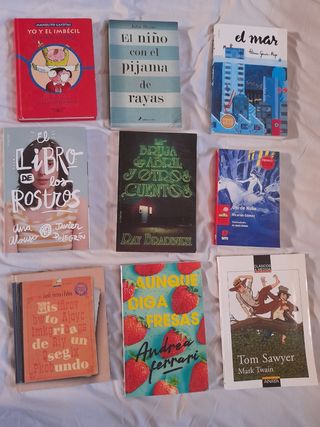 Libros de lectura Santa Ana
