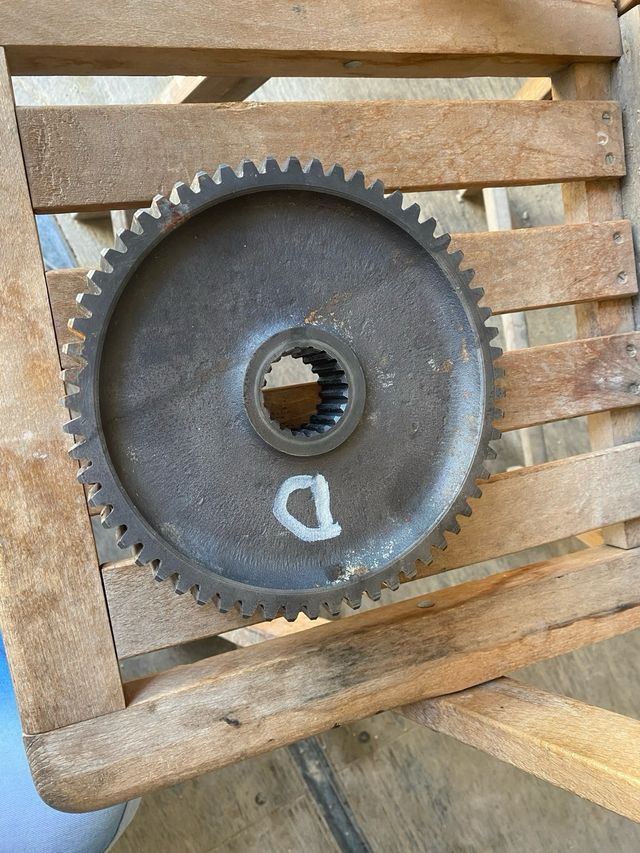 Piñon cañonera agria