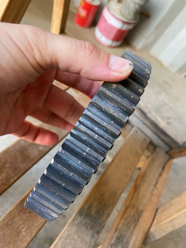 Piñon cañonera agria