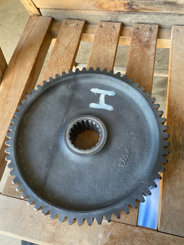 Piñon cañonera agria