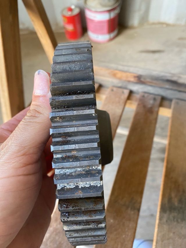 Piñon cañonera agria