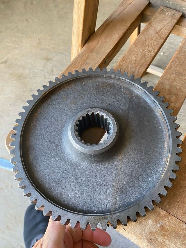 Piñon cañonera agria