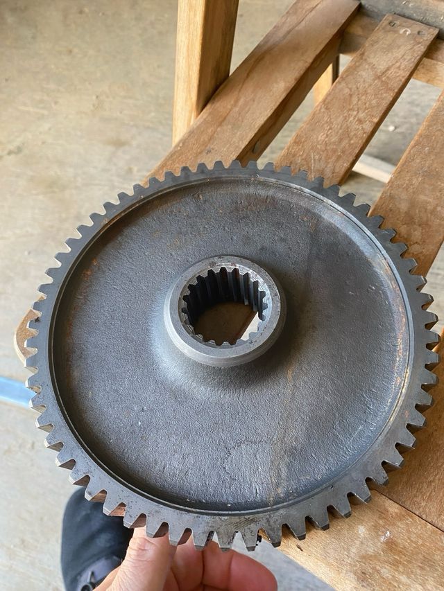 Piñon cañonera agria