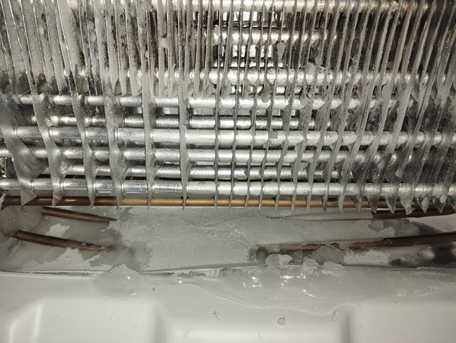 Cervecedor de reparación