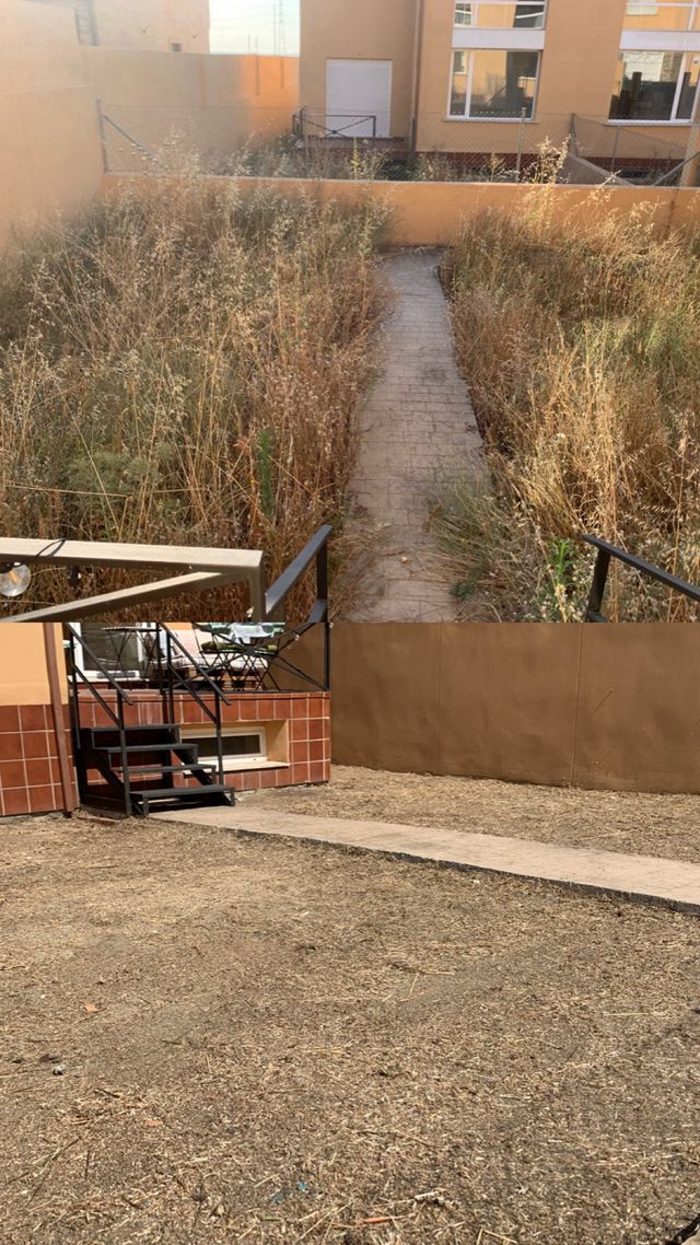 Servicio de jardinería profesional