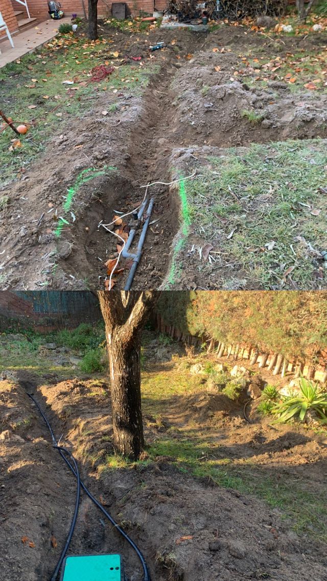 Servicio de jardinería profesional