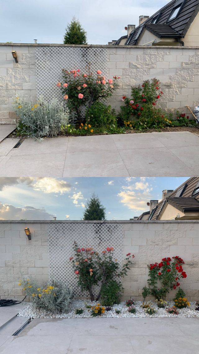 Servicio de jardinería profesional