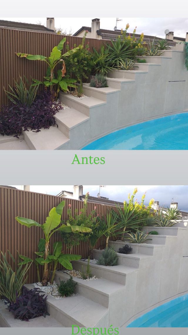 Servicio de jardinería profesional