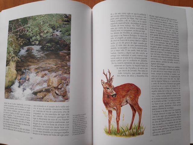 Galicia Asturias Paraísos de la Naturaleza 