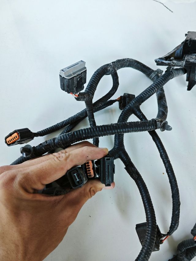 Kit cableado sensores Kia Ceed