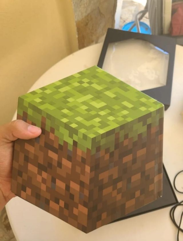 Blockopedia libro Minecraft