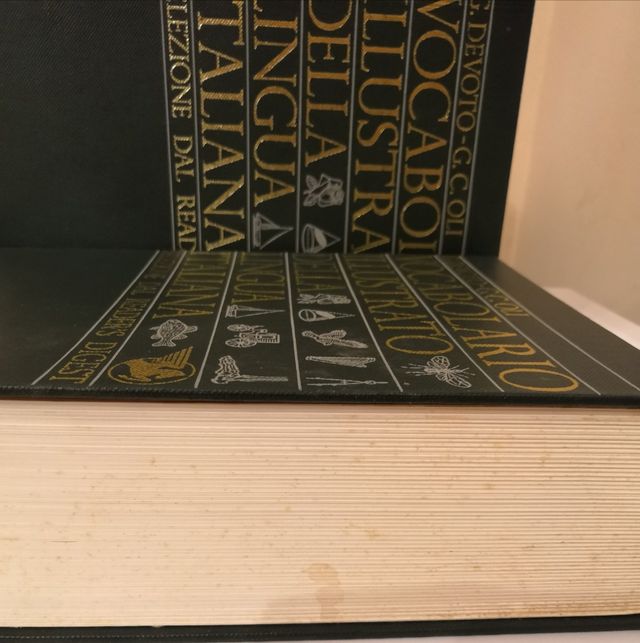 Vocabolario illustrato lingua italiana