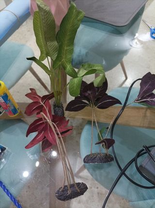 ACCESORIOS DE ACUARIO 