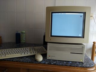 Apple vintage surtido