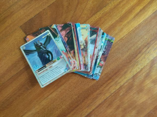 Cartas Fantasy Riders 2018