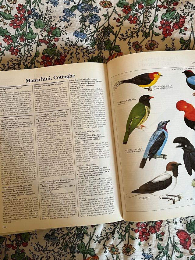 Enciclopedia Illustrata degli Animali