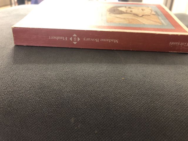 Flaubert Madame Bovary