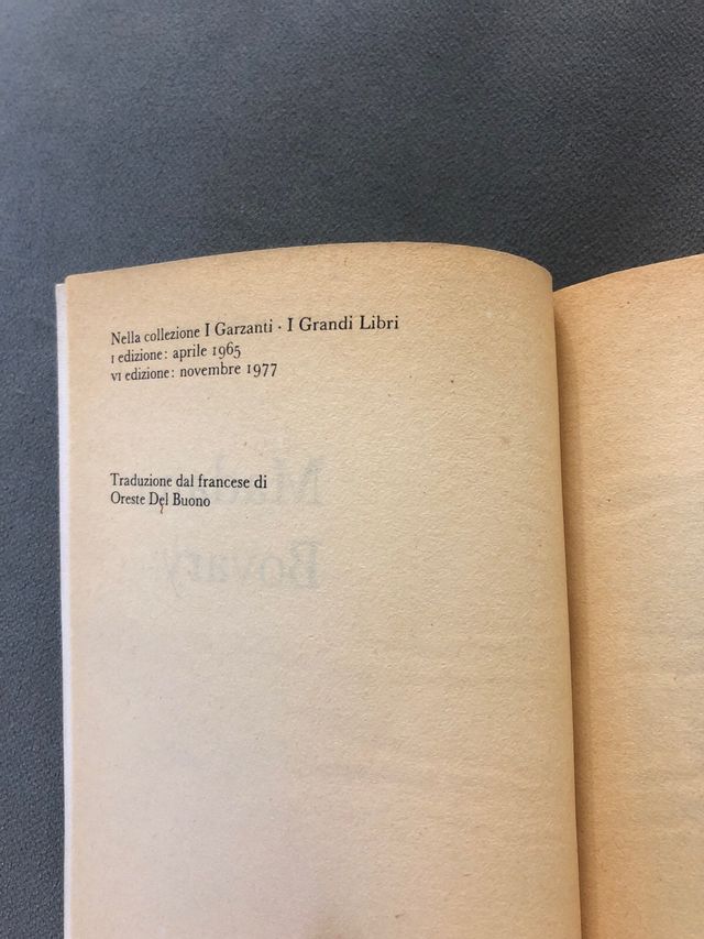 Flaubert Madame Bovary