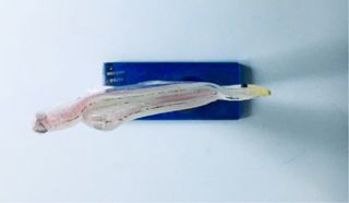 Uccellino di Murano vintage