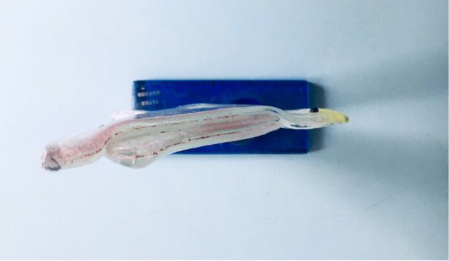 Uccellino di Murano vintage