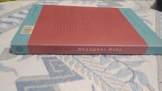 Shanghai Baby. Wei Hui