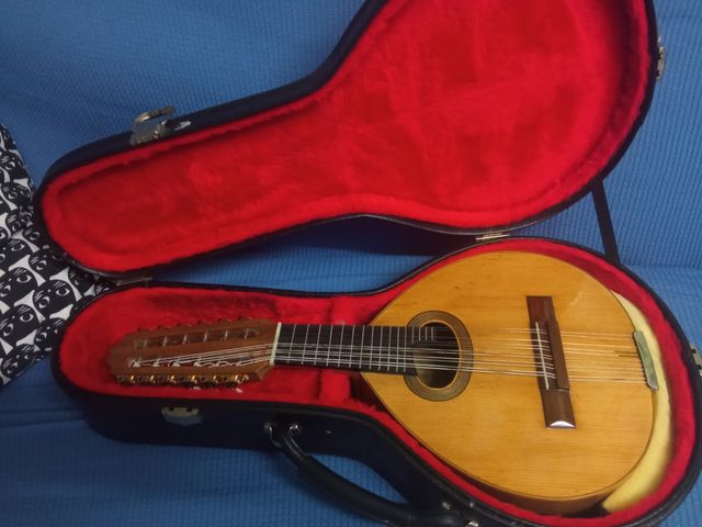 Bandurrias Manuel de la Chica