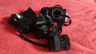 Canon T50 macchina fotografica