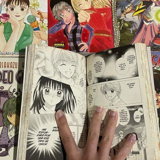 Mangas variados
