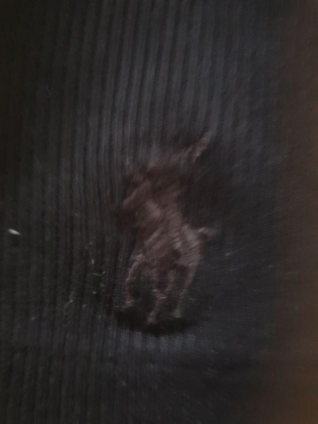 Camiseta Ralph Lauren