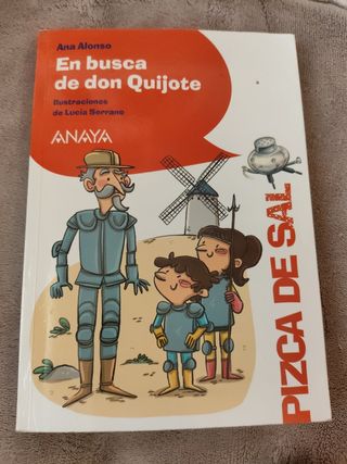 Libro En busca de don Quijote