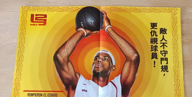 Poster LeBron James anni '90/'00