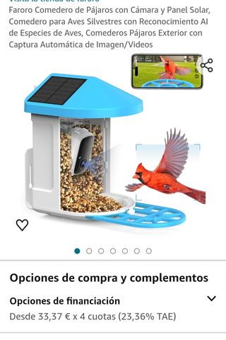 Comedero de pájaro con cámara 