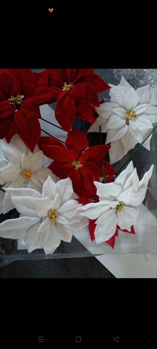 Stelle di natale in velluto