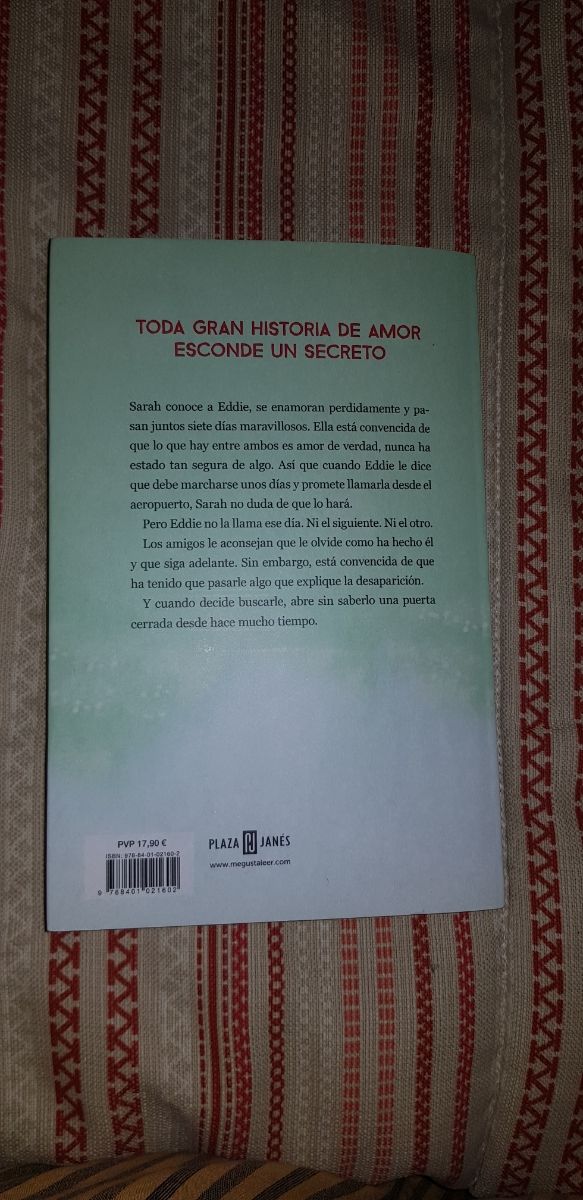 El chico que nunca llamó Rosie Walsh
