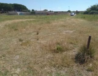 Terreno en venta en Pinseque (Zaragoza)