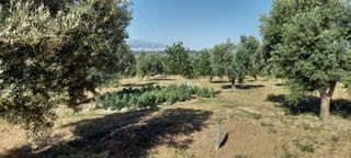 Terreno en venta en pantano de los Bermejales