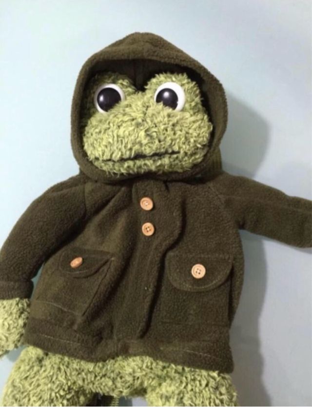 Mochila rana infantil calidad buena marca 