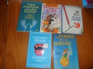Lote de libros (novelas)