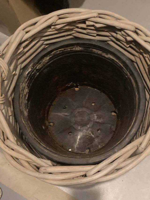 Macetero muy grande. Cubre maceta. Espectacular