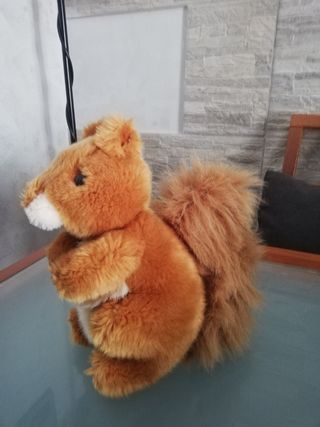 peluche 