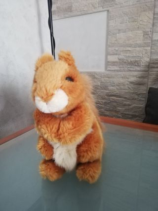 peluche 