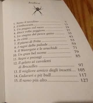 I ragni mi fanno paura, Il battello a Vapore