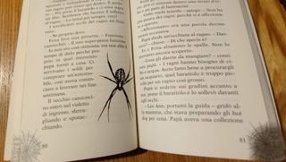 I ragni mi fanno paura, Il battello a Vapore