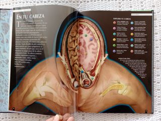 LIBRO "EL CUERPO HUMANO AL DESCUBIERTO"