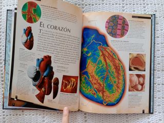 LIBRO "EL CUERPO HUMANO AL DESCUBIERTO"