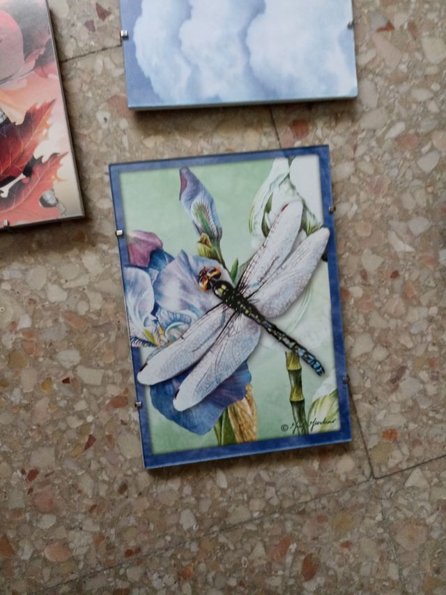 Lote láminas decortativas