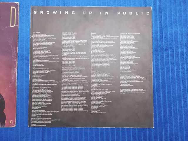 Copertina Vinile • Lou Reed • Growing Up In Public