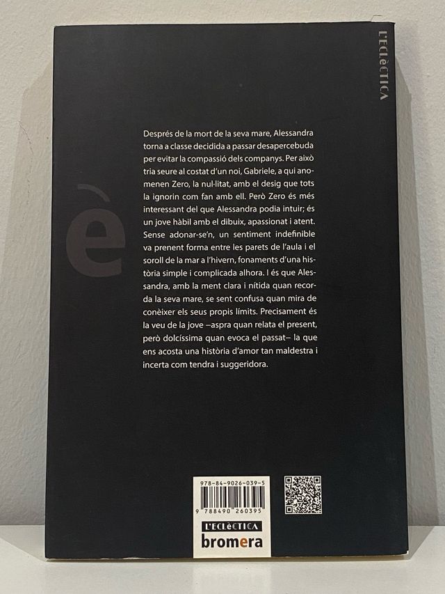 Libro: Un hivern a zerolàndia