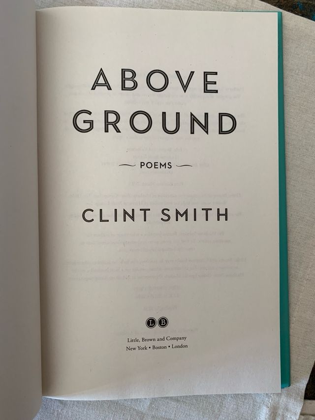 Libro en inglés: Above ground.