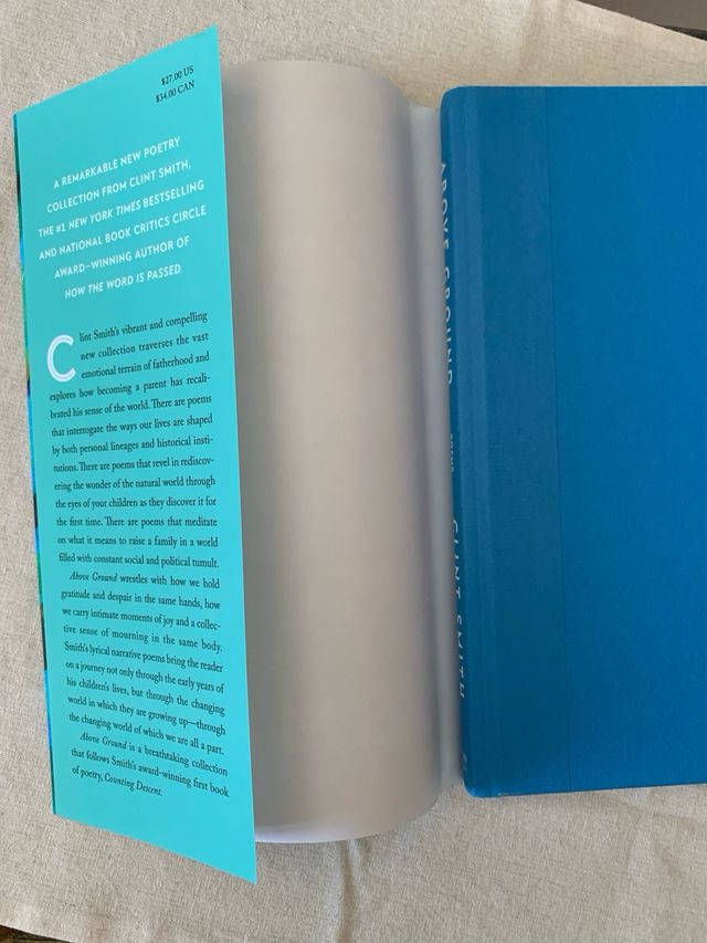 Libro en inglés: Above ground.